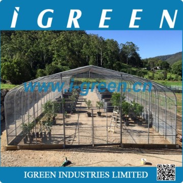 Agricultural insect net green house