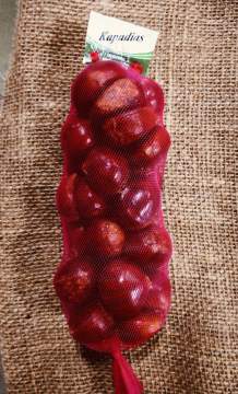 Selected Quality Fresh Chest Nut