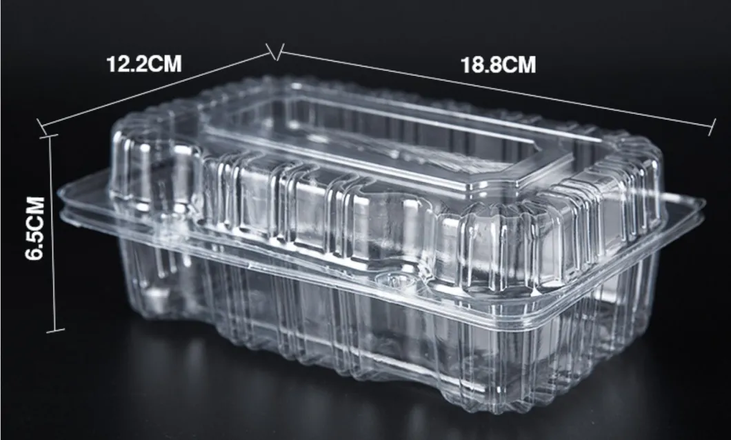 Pet Clear Plastic Compartment Take Away Salad Food Container Tray 5