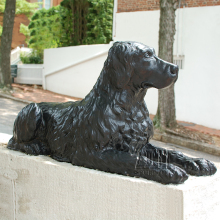 Fine Workmanship Bronze Life Size Cast Brass Dog Statue