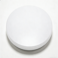 Low profile ceiling light LED