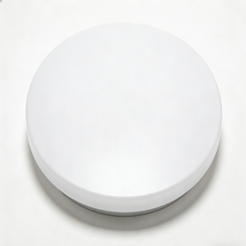 Low profile ceiling light LED