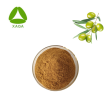 Ácido oleanólico 98% Antitumor Natural Powder HPLC 508-02-1