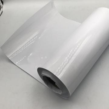 Transparent Pet Film Heat Transfer for Offset Screen Printing