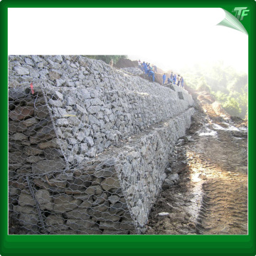 Mur de soutènement écologique gabion HDG