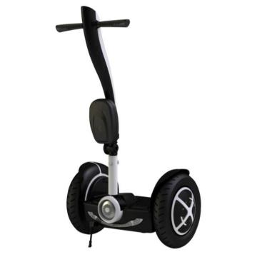 Fashion Mini Electric Chariot Seg Way