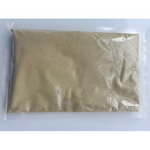 Natural Green Kelp Algae Sea Extract Powder