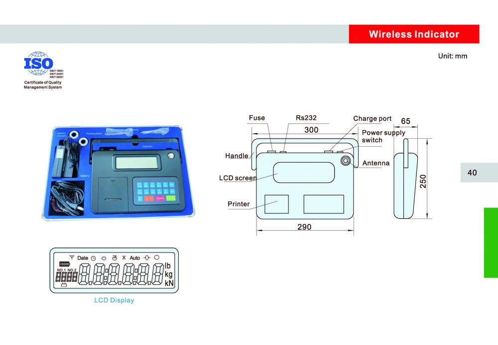 indicator for Crane scale 