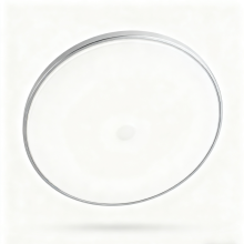 Decorative Modern Ceiling Light