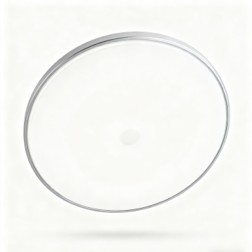 Decorative Modern Ceiling Light