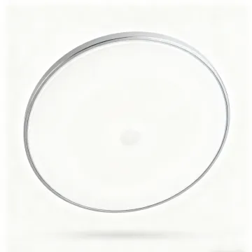 Decorative Modern Ceiling Light