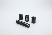 Compression spring ZW20 Series