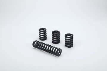 Compression spring ZW20 Series