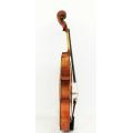 Natural Varnish Solid Wood Viola