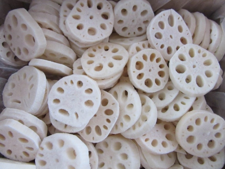 IQF Frozen Vegetables Slice Lotus Root