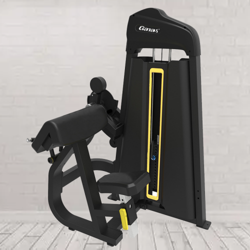 Machine d&#39;extension de triceps de luxe pour la forme physique du gymnase