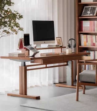 Big lots standing desk