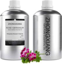 wholesale 100% pure  rose geranium oil