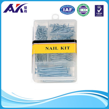 280PCS Wire Nails Assortment in Galvanized