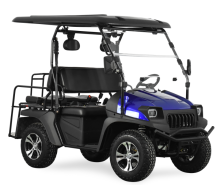 Electric UTV with EEC 5KW Electric UTV