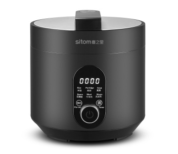 Small Size Electic Pressure Cooker