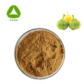 Pó de extrato de fruta de Garcinia Cambogia 100% natural puro