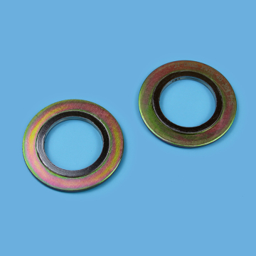 Spiral Wound Gasket with Outer Ring SWG