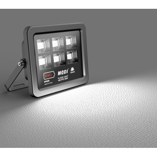 Motion sensor floodlight with remote control