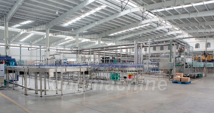 Beer Bottling Equipment for Sale/Beverage Machinery Line/Beer Bottle Filling Line