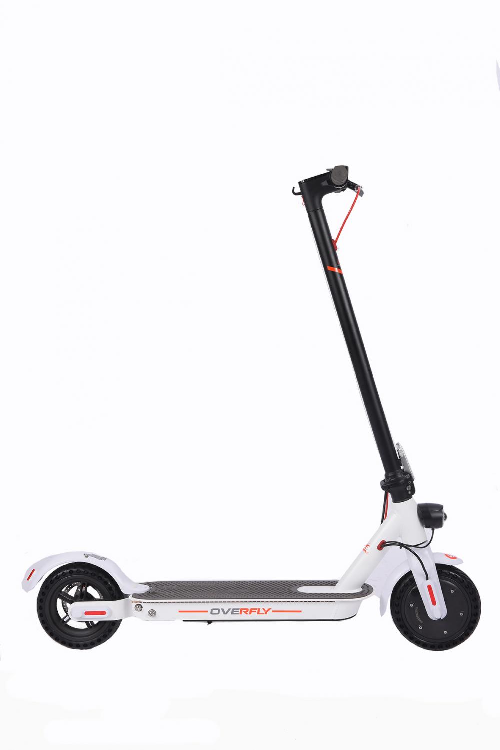 Stand up Scooter