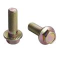 Todos os tamanhos de DIN6921 Flange Flange Bolt