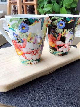 Western style steak plate, flat plate, bowl