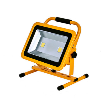 LEDER 100W Outdoor Flood Light Bulbs