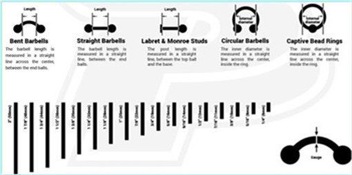 Fully Body Piercing Chart