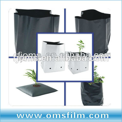 Biodegradable coco peat grow bags for australia market