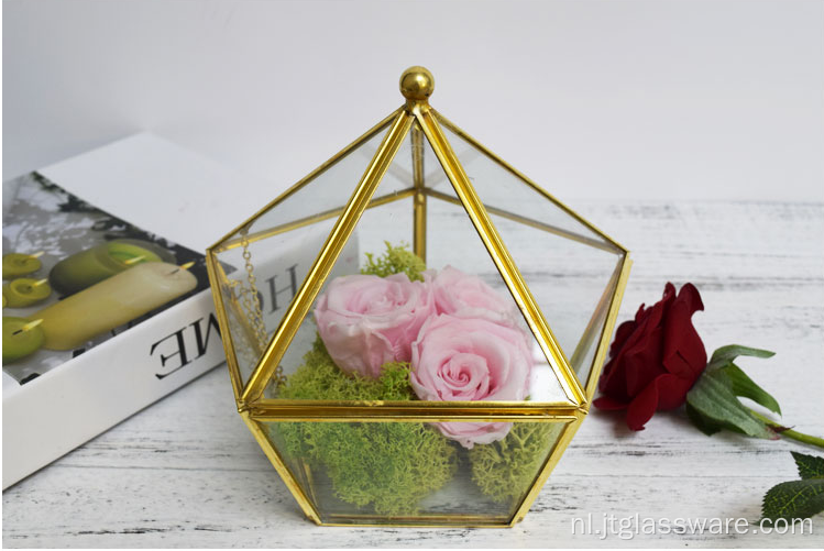 Woondecoratie Geometrisch Glas Terrarium Ecologisch