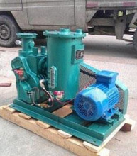 Rotary Piston Vacuum Pump