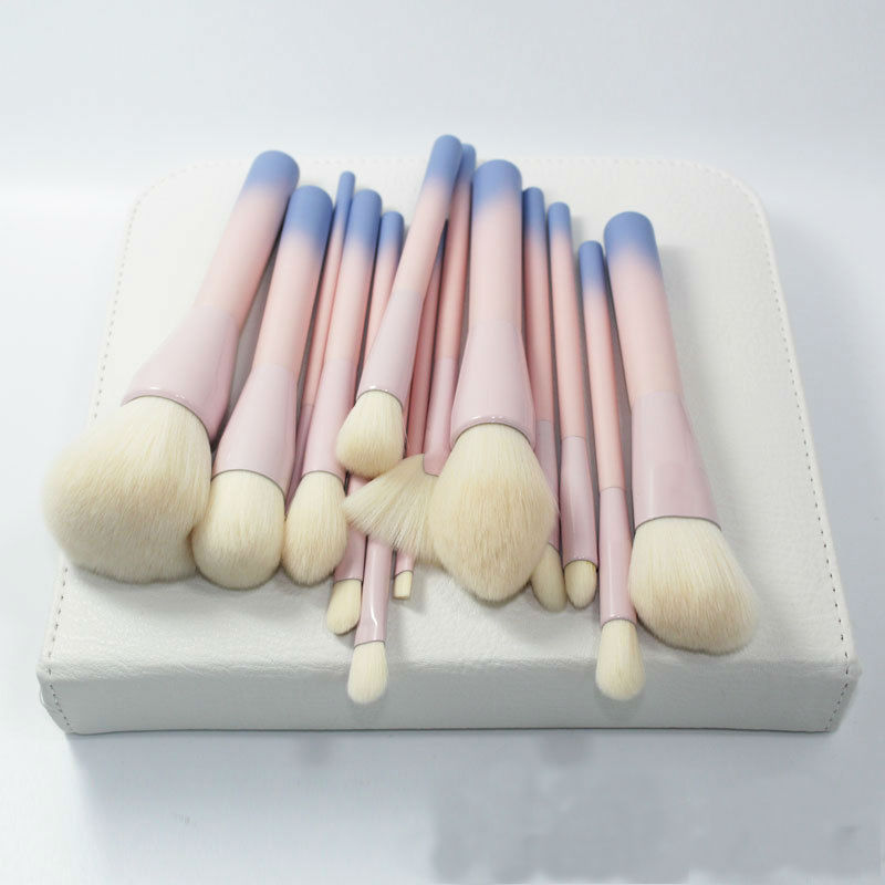 14pcs Makeup Brushes 