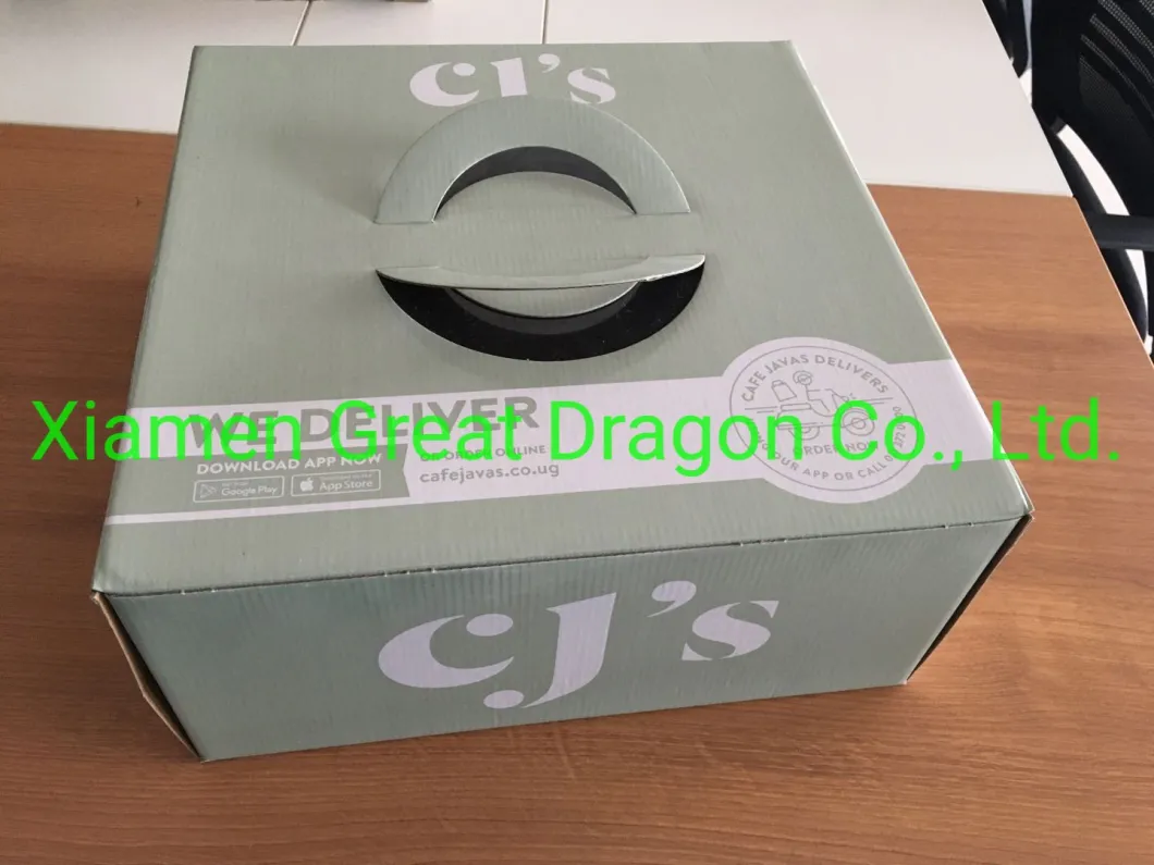 Take out Pizza Delivery Box with Custom Design Hot Sale (PZ2009222010)