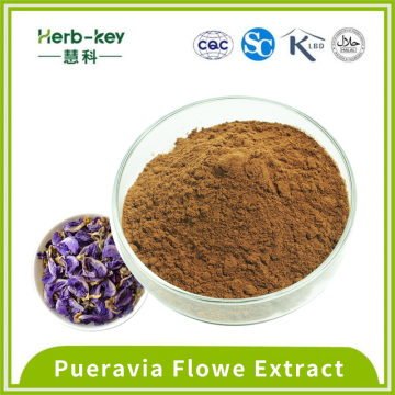 Pueraria Flowe extract contains 40% isoflavones