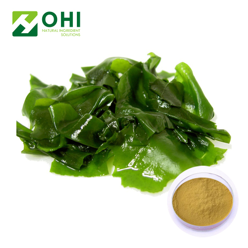 Kelp Extract Fucoidan Powder