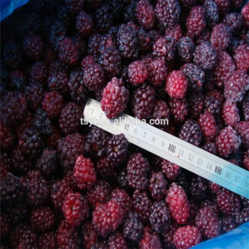 frozen blackberry new frozen fruit whole fruit