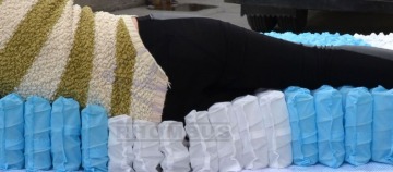 Mattress Pocket Spring Unit, 5-Zone Pocket Spring unit , Pocket Spring Bed Mattress (XT-493)