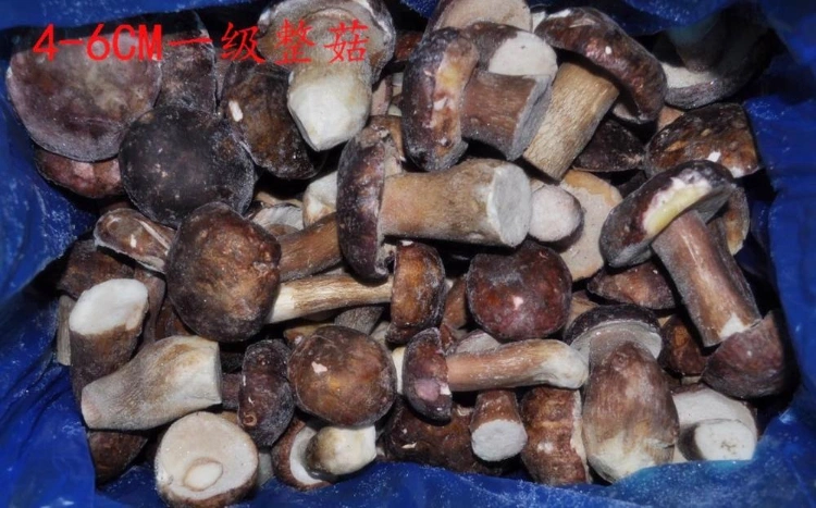 IQF Frozen Boletus Edulis Porcini Whole Cut Cubes From China