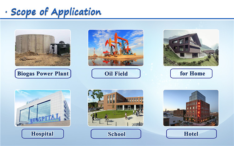 20kw 30kw 50kw 80kw 120kw 200kw 300kw 400kw 500kw 1000kw LNG CNG natural methane gas generator set