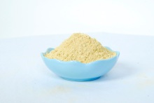 80-100mesh dehydrated ginger powder