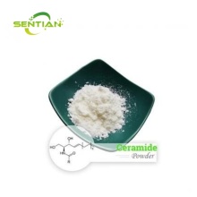 Hot Sale Herbal plant Rice Bran Extract