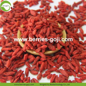 ขายผักสดผลไม้แห้ง Goji Berry ธรรมดา