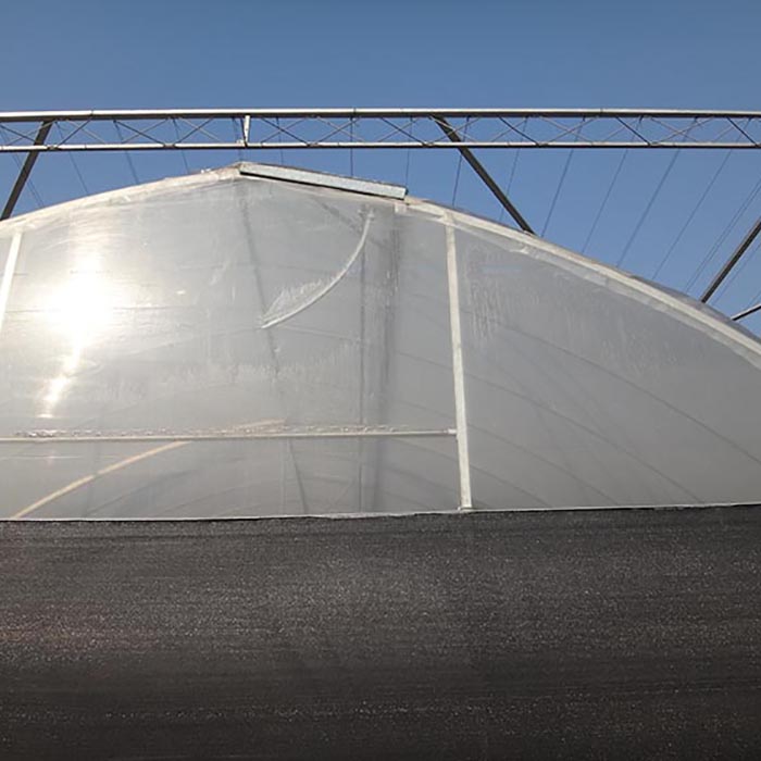 Large Plastic Film Multi Span Greenhouse