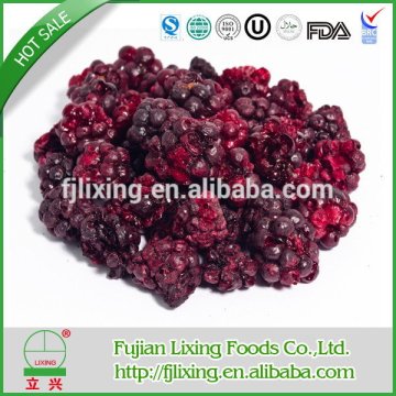 Alibaba china unique freeze dried fruits blackberry